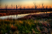 DSC_5669_HDR