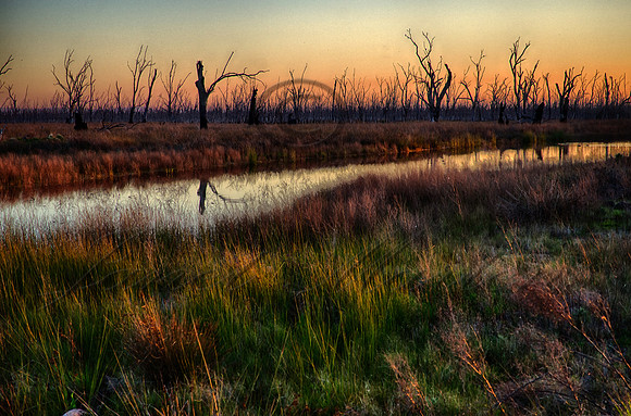 DSC_5669_HDR