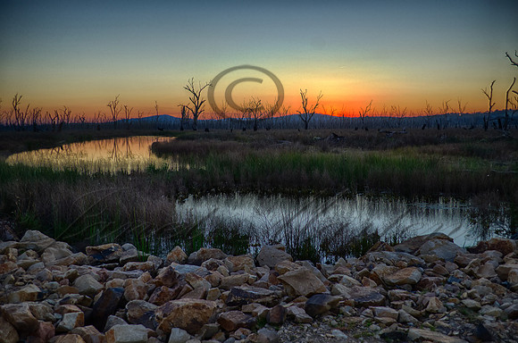 DSC_5729_HDR