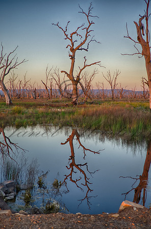 DSC_5696_HDR