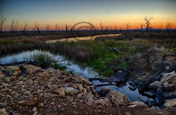 DSC_5705_HDR