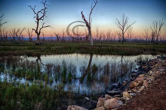 DSC_5714_HDR