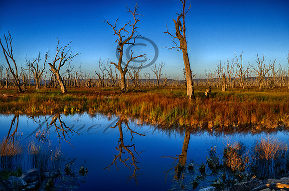DSC_5630_HDR