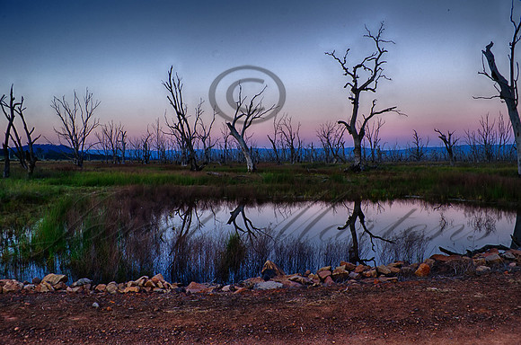 DSC_5744_HDR