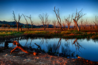 DSC_5666_HDR