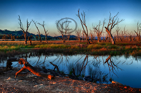 DSC_5666_HDR
