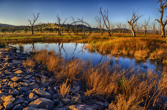 DSC_5615_HDR
