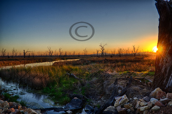 DSC_5657_HDR