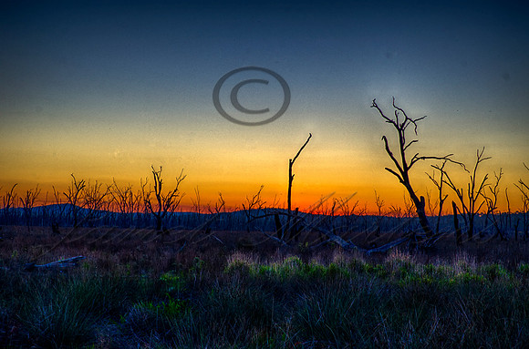 DSC_5738_HDR