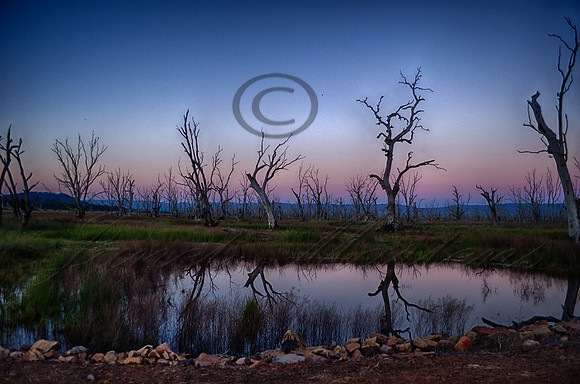 DSC_5750_HDR