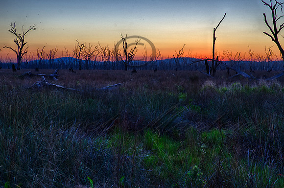 DSC_5741_HDR