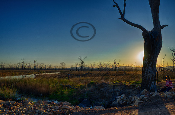 DSC_5636_HDR