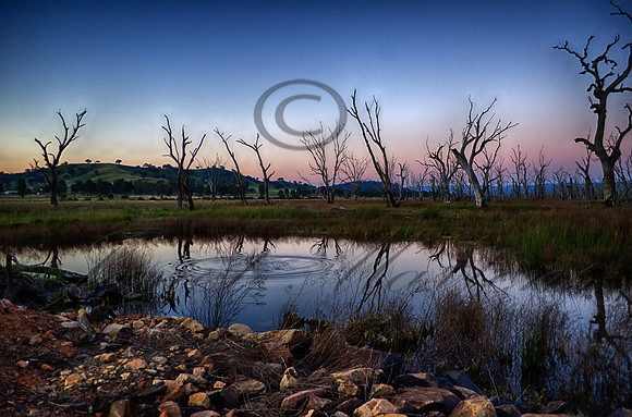 DSC_5765_HDR