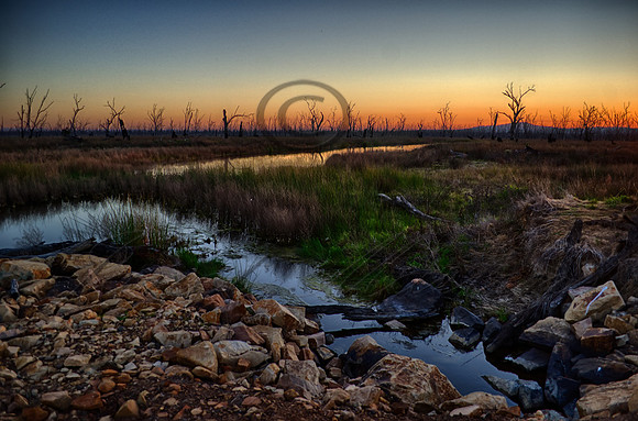 DSC_5702_HDR