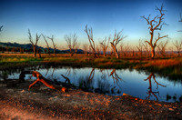 DSC_5663_HDR