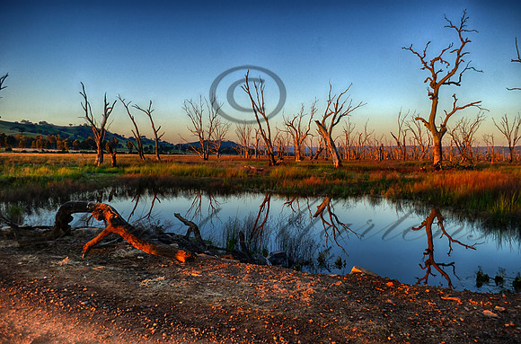 DSC_5663_HDR
