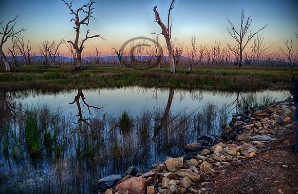 DSC_5708_HDR