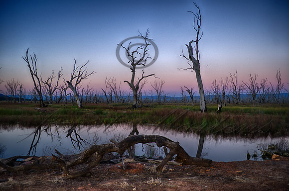 DSC_5753_HDR