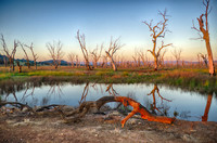 DSC_5684_HDR