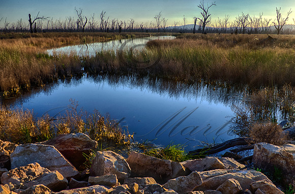 DSC_5609_HDR