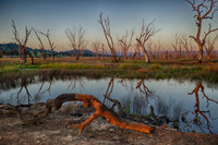DSC_5687_HDR