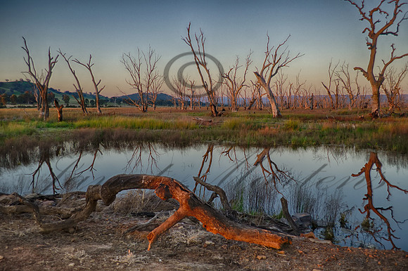 DSC_5687_HDR