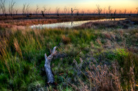 DSC_5678_HDR