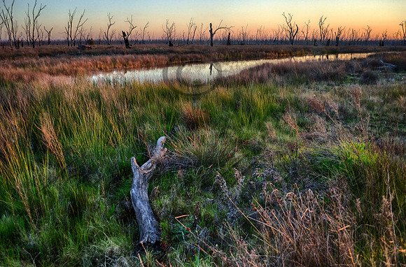 DSC_5678_HDR