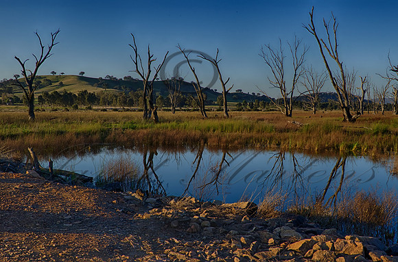 DSC_5594_HDR