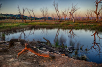 DSC_5690_HDR