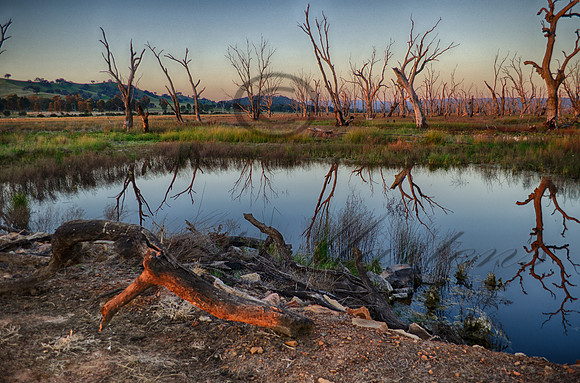 DSC_5690_HDR