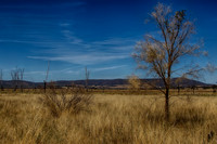 2014-12-31-032658_HDR