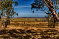 2014-12-31-032686_HDR