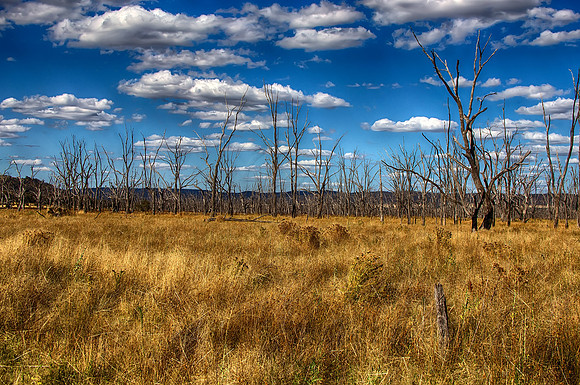 2014-12-30-032598_HDR