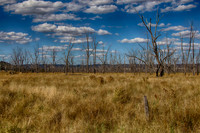 2014-12-30-032592_HDR