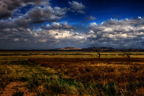 2014-12-29-032555_HDR