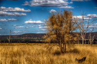 2014-12-30-032585_HDR