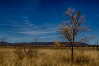 2014-12-31-032665_HDR