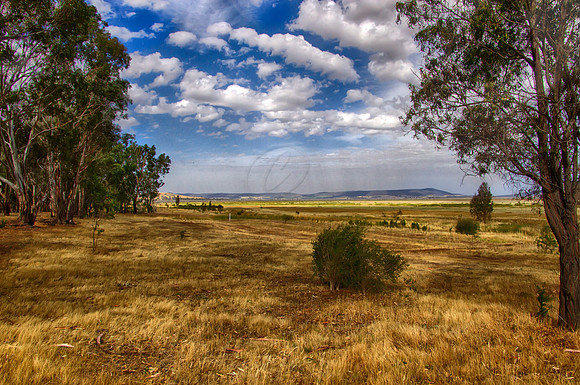 2014-12-29-032561_HDR