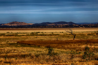 2014-12-31-032679_HDR