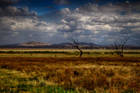 2014-12-29-032558_HDR