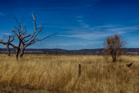 2014-12-31-032672_HDR