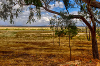 2014-12-29-032552_HDR