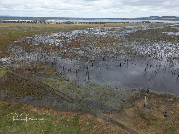 DJI_0961