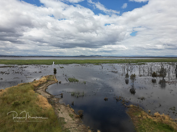 DJI_0179