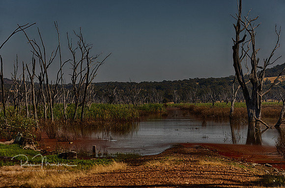 2023_01_13_0015_HDR