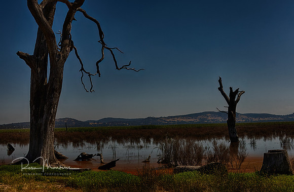 2023_01_13_0028_HDR
