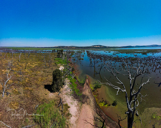 MAX_0241 Panorama