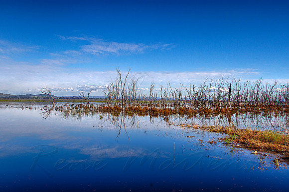 2016-10-28-110558_HDR