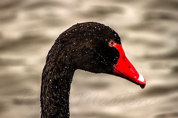 2013_03_31_00028501